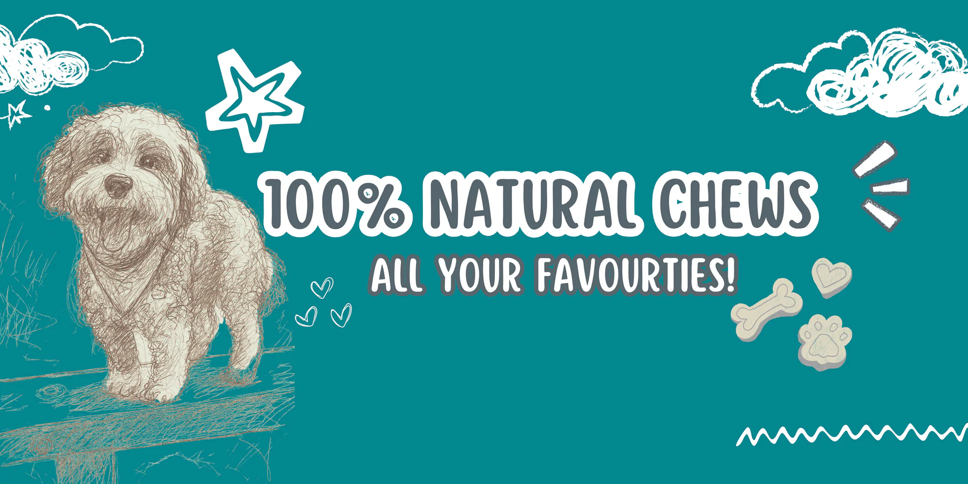 Unleash Your Dog's Best Life